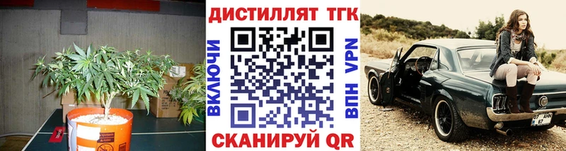 дарнет шоп  Гусь-Хрустальный  ТГК вейп 