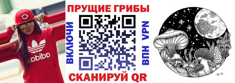 Псилоцибиновые грибы Cubensis  Гусь-Хрустальный 